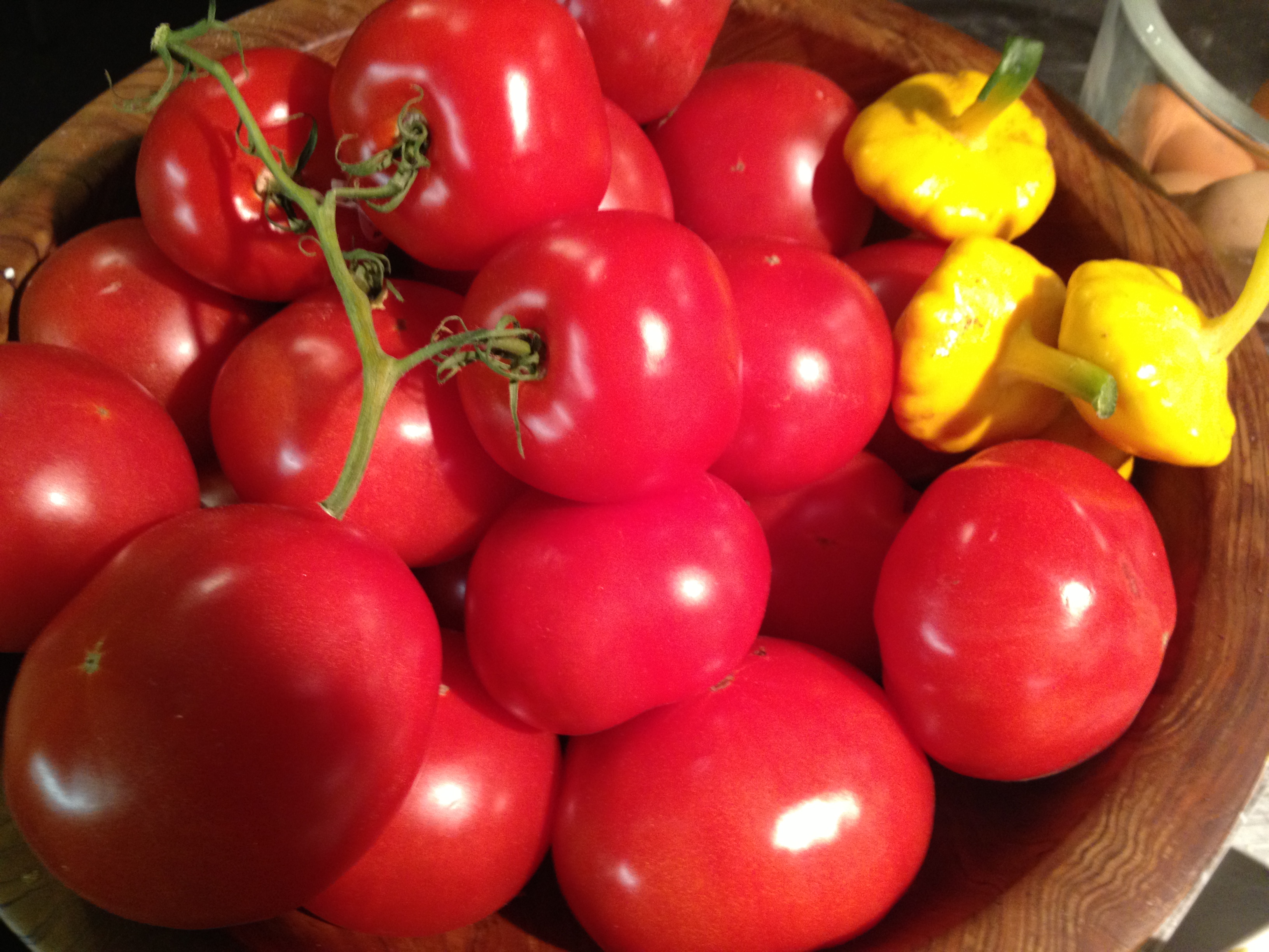 Local Saanich Tomatoes
