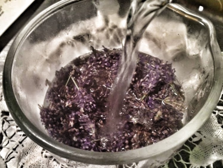 Pouring boiling water over Lavender