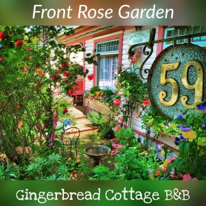 Front Patio Rose Garden Gingerbread Cottage Victoria BC Canada